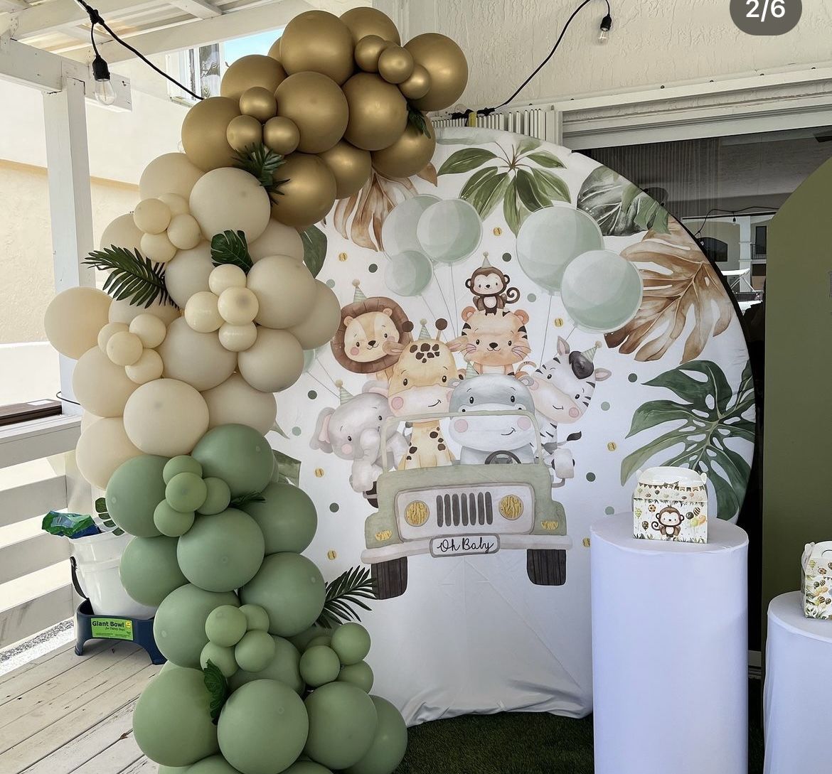 Safari balloon