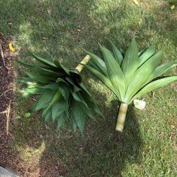 Brand New Artificial Plant Bundle Of 2 