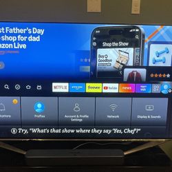 Samsung 65 Inch TV