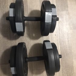 25LB Weights 