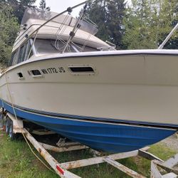 1984 Bayliner Contessa Flybridge NEW PRICE