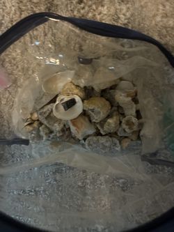 Geo’s, shells and other stuff