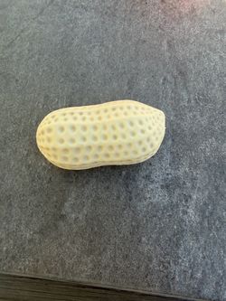 Small Peanut Squishy
