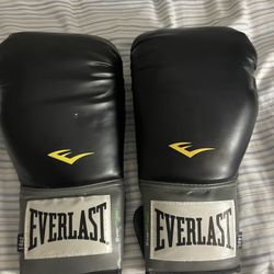 14oz Boxing Gloves