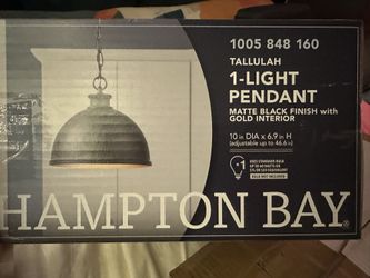 Hampton Bay Matte Black Light Pendant