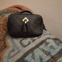 Louis Vuitton Hand Bag