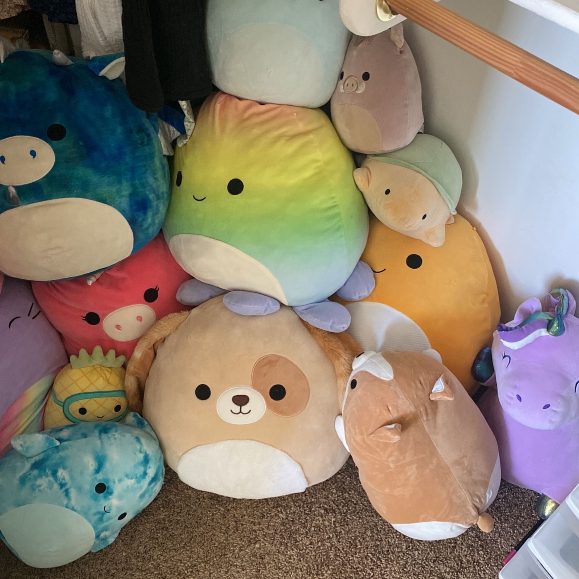 Mix Squish mallows for Sale in Mesa, AZ OfferUp