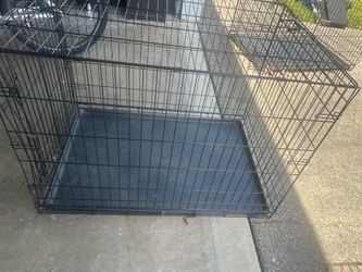Dog Kennel