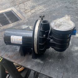 Pool Pump 1.0 HP Sta-ri-te
