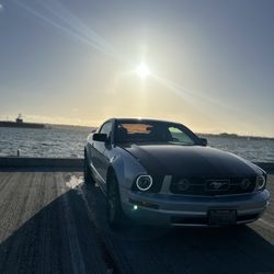 Mustang