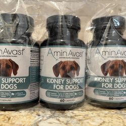 AminAvast Kidney Support For Dogs