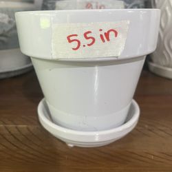 Plant Pot - 5.5”