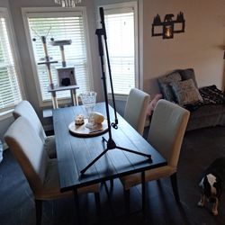 Pyle Microphone Boom