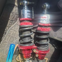 Rsx Coilovers 