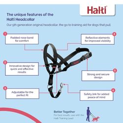 Haiti Easy Leader