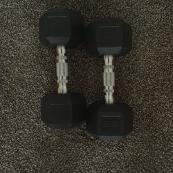 2 20 Pound Dumbbell Set