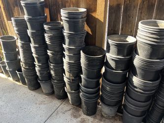 5 gal and 1 gal Potting Pots Plants 