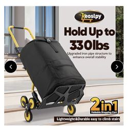 2 In 1 Folding Trolley