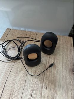 Computer speakers