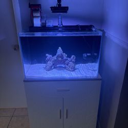 Tanque De Agua Salada 30gl