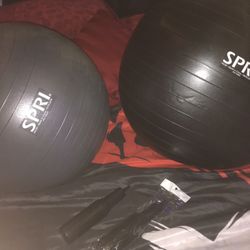 SPRI Exercise yoga balls
