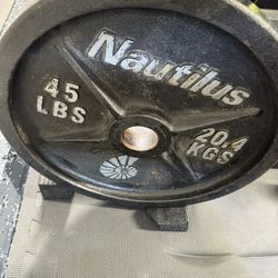 Bench Press Weights 45lbs