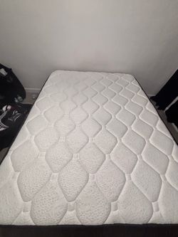 Queen Sized Mattress