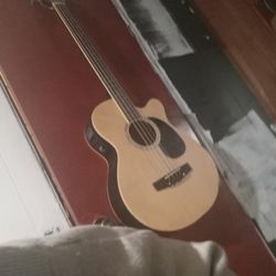 Acoustic Electric  Bass