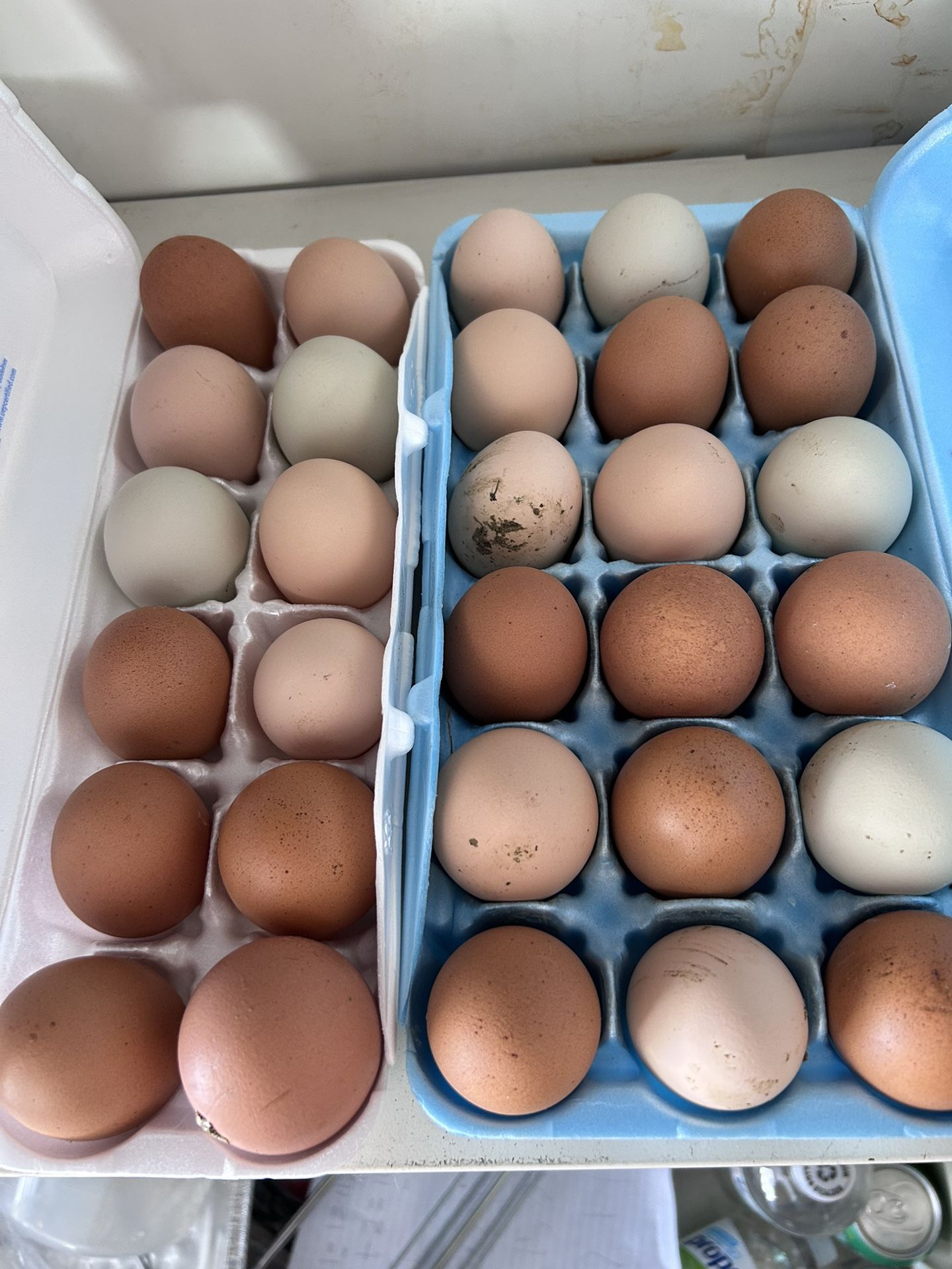 Farm fresh eggs