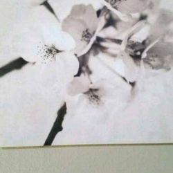 white and black flower painting