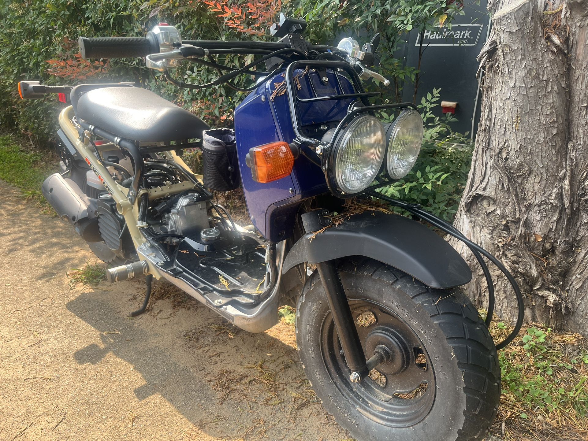 Honda Ruckus