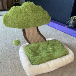 Cat Bed And Scratcher With Ball Toy