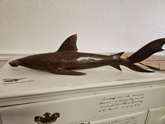 Hammerhead shark