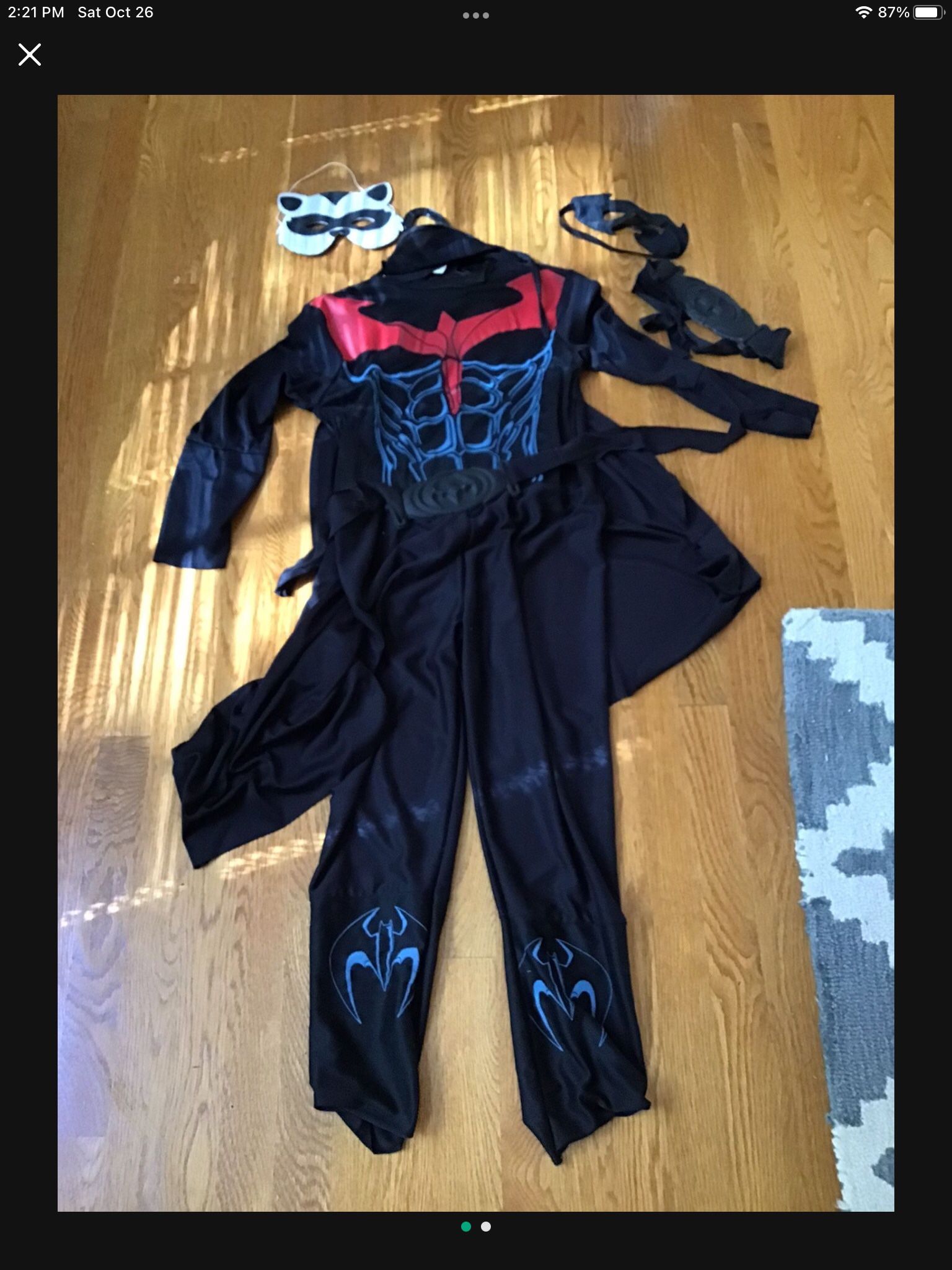 Halloween Costume - Batman and Robin, Size 12 -14 Boys