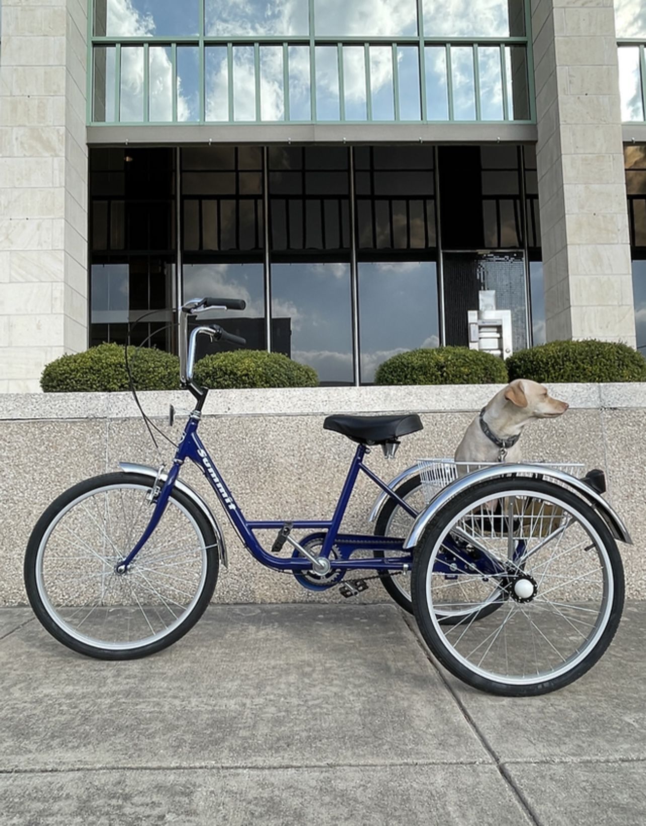 200$. 3 Wheeler Bike. Like New
