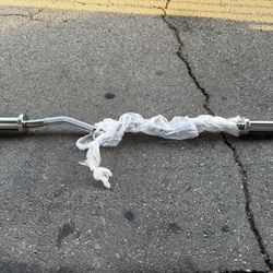 Olympic Curl Bar