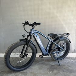 Electric Mountain Bike eBike eMTB | Qronge Thunder