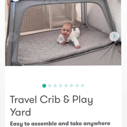 Deluxe Travel Crib & Play Yard