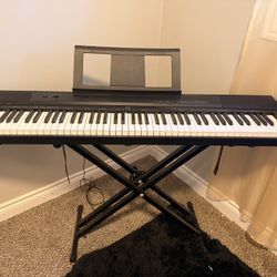 Rarely Used Keyboard W/stand