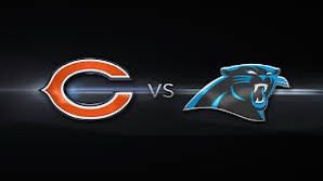 Bears Vs Lions South Lot Parking Pass