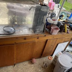 90 Gallon Fish Tank Set Up