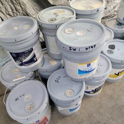 Indoor Flat Paint (Only)