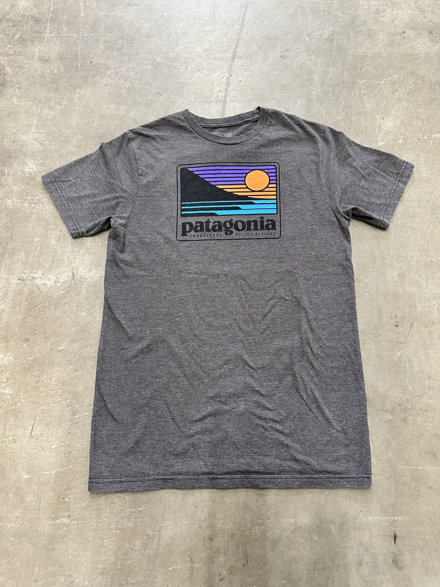 Patagonia t-shirt