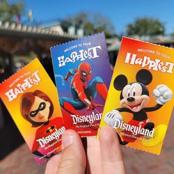 3 Day Park Hopper tickets