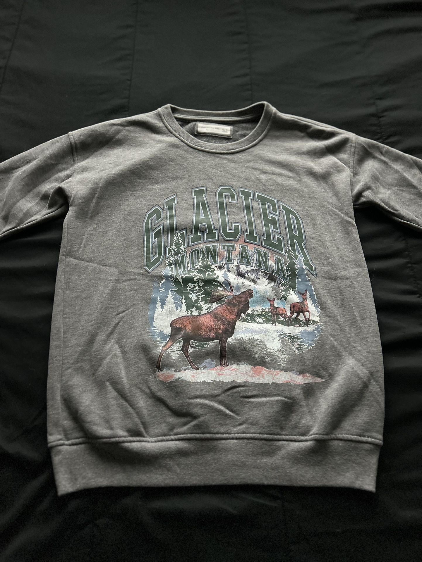 Abercrombie Kids Glacier Montana Sweatshirt (Size 13/14) – Great Condition!