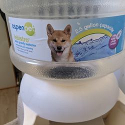 Dog Water Bowl And Steps