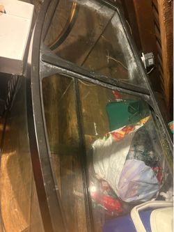 75 gallon tank