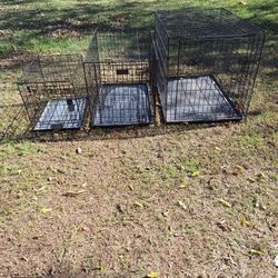 Kennels (3 of them)