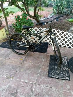 Dyna Craft Bike