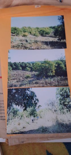 Se vende Terreno Nayarit Mexico